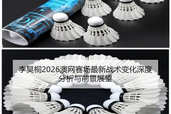 李昊桐2026澳网赛场最新战术变化深度分析与前景展望