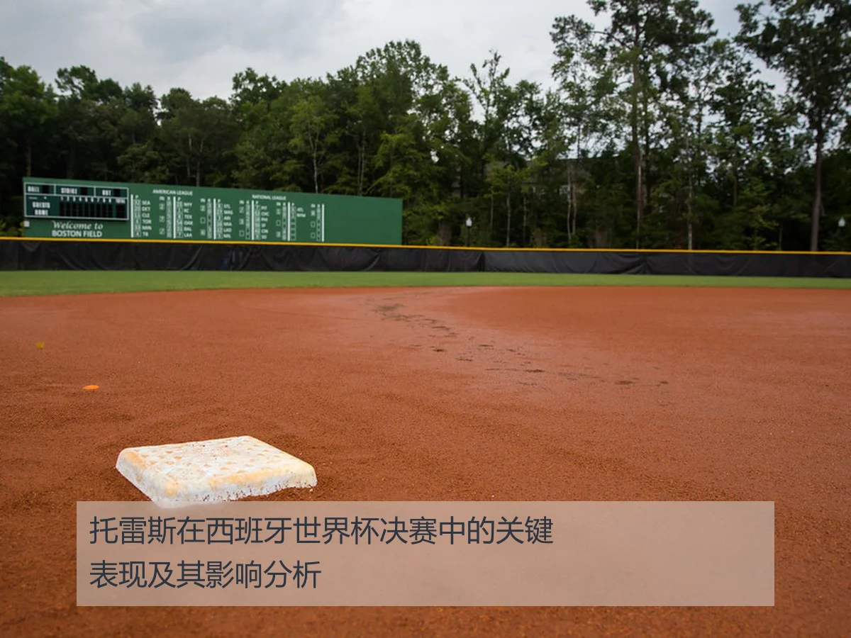 托雷斯在西班牙世界杯决赛中的关键表现及其影响分析
