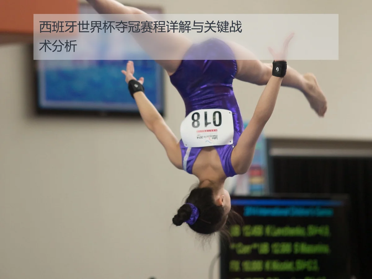 西班牙世界杯夺冠赛程详解与关键战术分析